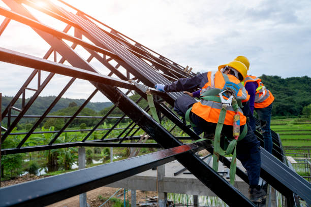 Professional Roofing Contractor in Felida, WA